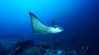 Kostarika, na cestě k ráji