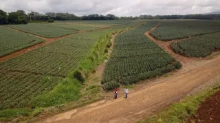 Kostarika, na cestě k ráji