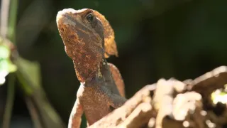 Kostarika, na cestě k ráji