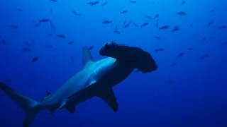 Kostarika, na cestě k ráji