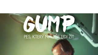 Gump - pes, ktorý naučil ľudí žiť