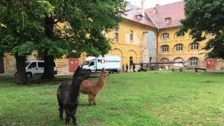 Terezínští hrobaři