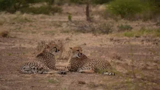 Na cestě po jižní Namibii