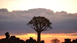 Na cestě po jižní Namibii