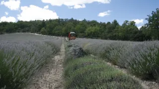 Na cestě po Provence