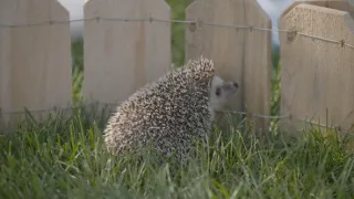 Příroda - úžasný zdroj inspirace (1/3)