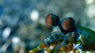 Příroda - úžasný zdroj inspirace (1/3)