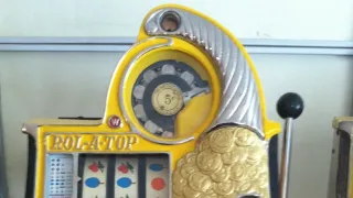 Mistři renovací (4)