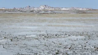 Psouni prérioví aneb Tenkrát na západě