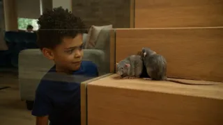 Skrytý život našich domácích mazlíčků (3/4)