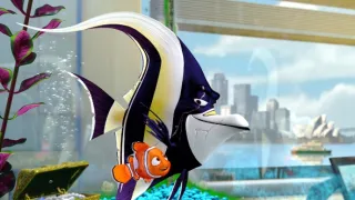 Hľadá sa Nemo