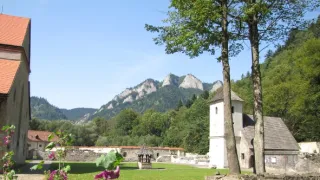 Návraty k divočině