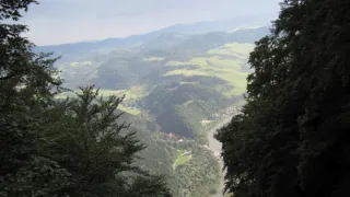 Návraty k divočině