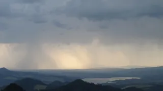 Návraty k divočině