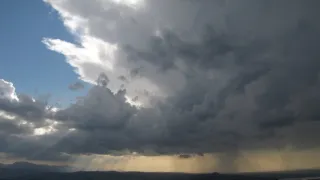 Návraty k divočině