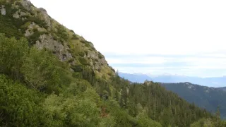 Návraty k divočině