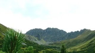 Návraty k divočině