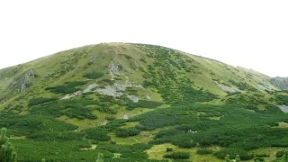 Návraty k divočině