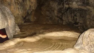 Návraty k divočině