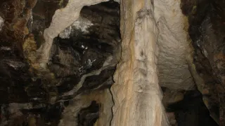 Návraty k divočině