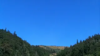 Návraty k divočině