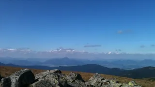 Návraty k divočině