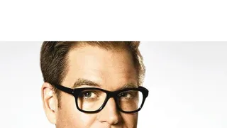 Bull: Súdny špecialista IV (19)