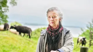 Vraždy u jezera