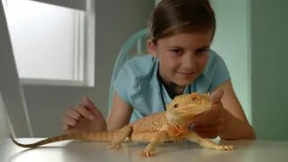 Skrytý život našich domácích mazlíčků (3/4)