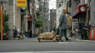 Skrytý život našich domácích mazlíčků (3/4)