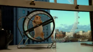 Skrytý život našich domácích mazlíčků (3/4)