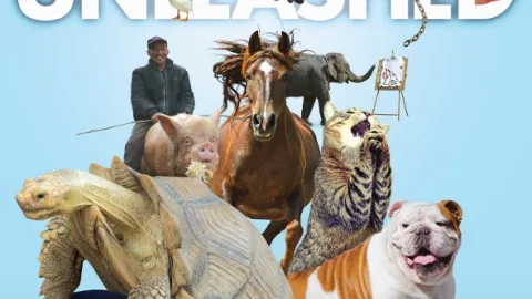 Najlepšie zvieratá na videu