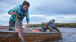 Život v sevření mrazu VIII (1)