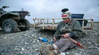 Život v sevření mrazu VIII (1)