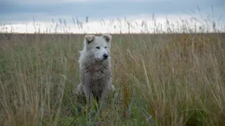 Život v sevření mrazu VIII (1)