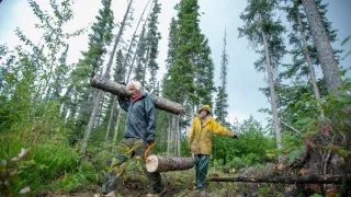 Život v sevření mrazu VIII (1)