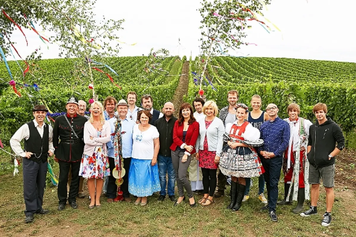 Vinaři, 2014 - fotogaléria