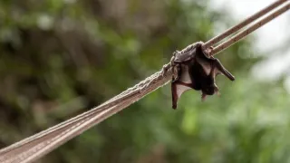 Pátrání po tajemství Diamantové skály