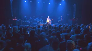 Sting!