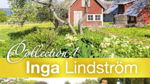 Inga Lindström: Hanna a jej narodeniny