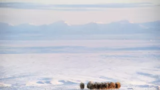 Dokonalá planéta (2/5)