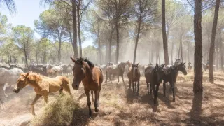 Skryté krásy Španělska (1)