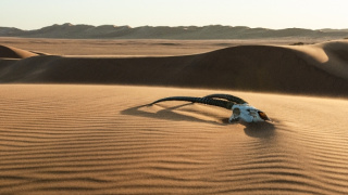 Zázračná planéta: Posledné raje na Zemi - Namib