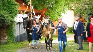 Slunečná (2)