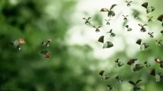 Chrobáčikovia 2: Ďaleko od domova