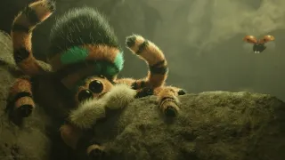 Chrobáčikovia 2: Ďaleko od domova