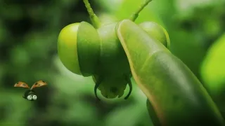 Chrobáčikovia 2: Ďaleko od domova