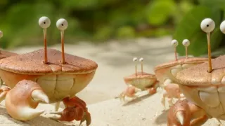 Chrobáčikovia 2: Ďaleko od domova