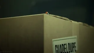 Chrobáčikovia 2: Ďaleko od domova