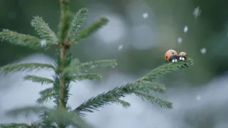 Chrobáčikovia 2: Ďaleko od domova